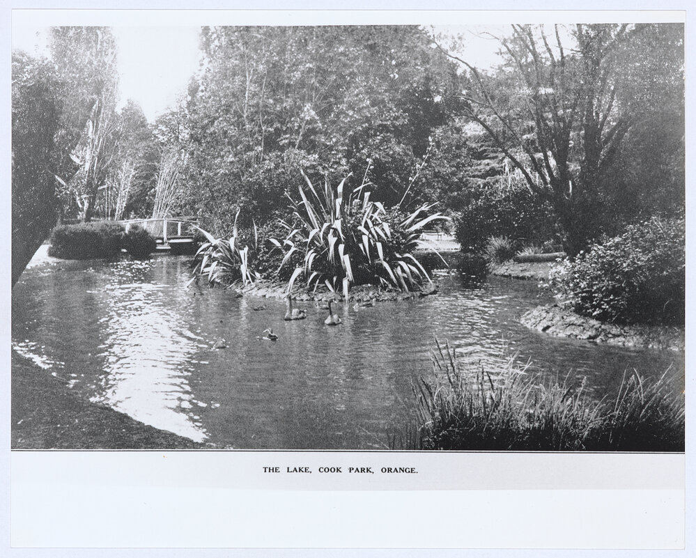 The Lake, Cook Park, Orange