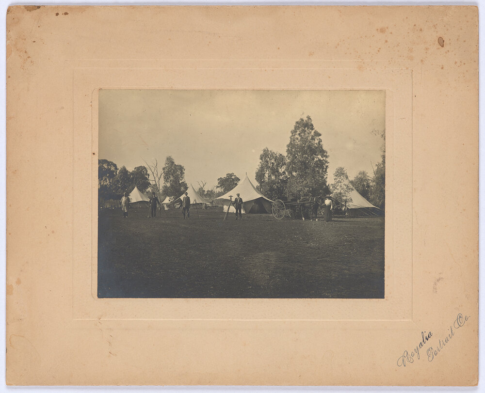 Surveyor Alfred Stephen