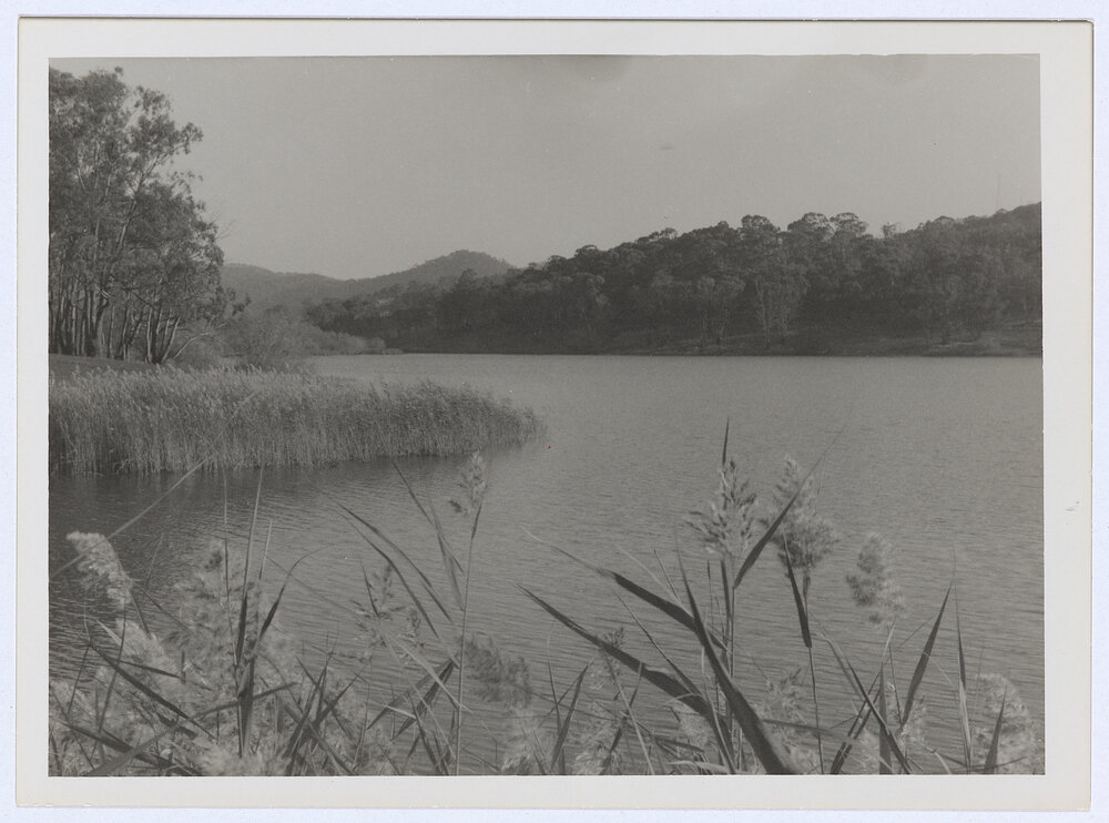 Lake Canobolas