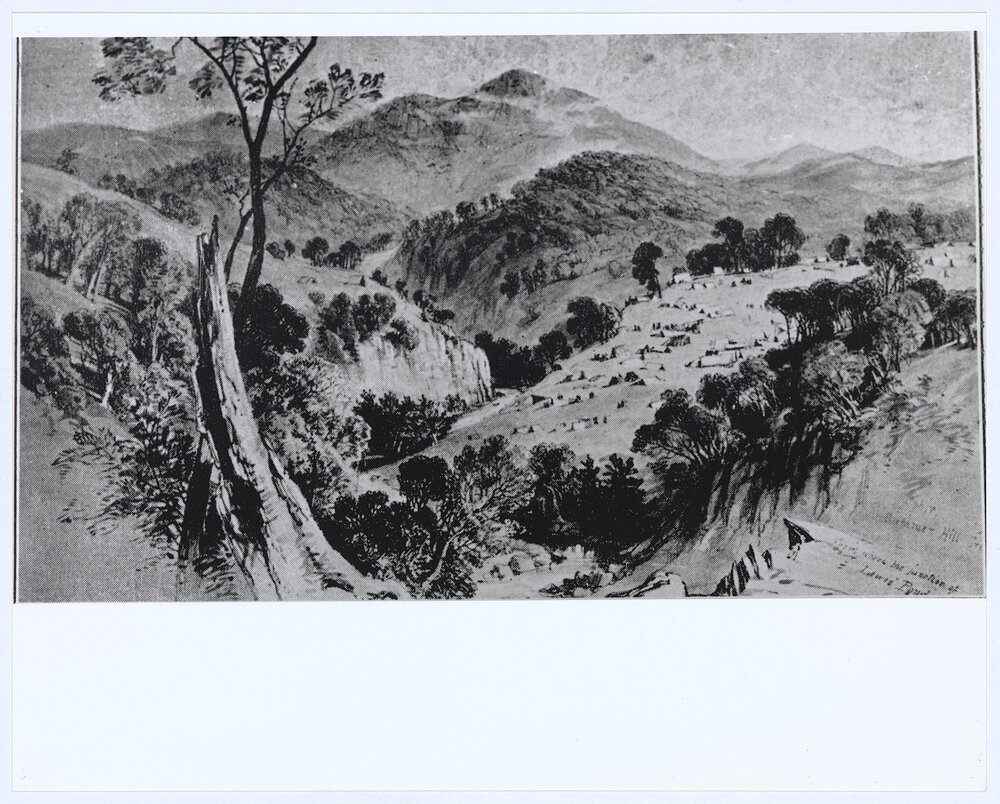 Ophir, Summer Hill Creek