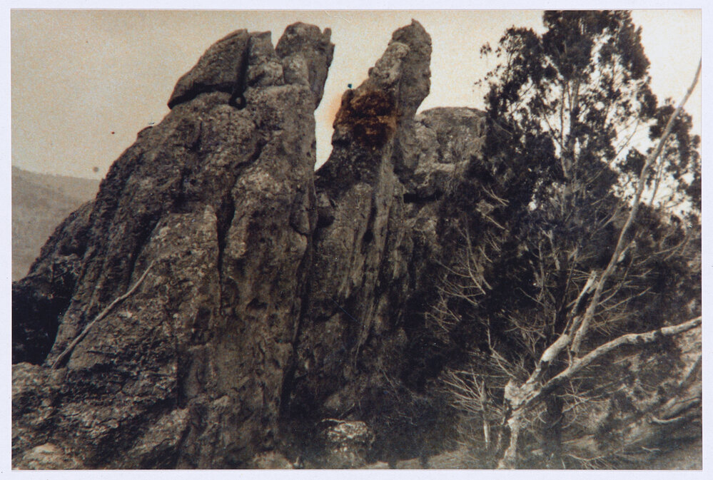 Pine Rocks, Cadia