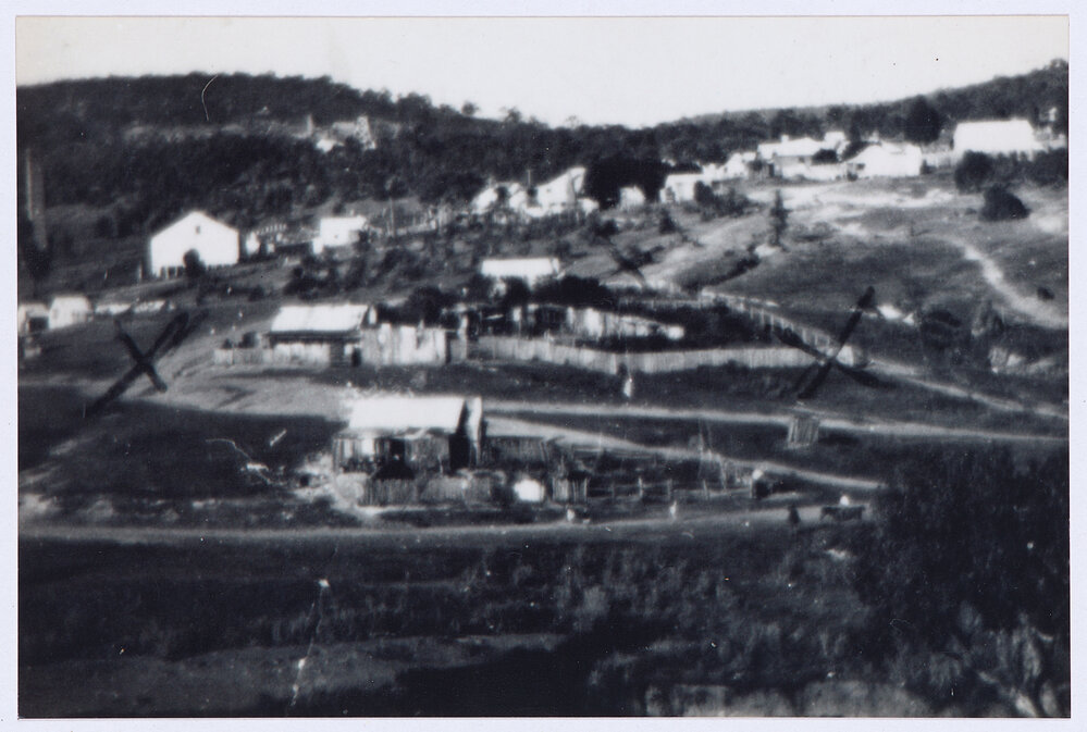 Jenkin family home, Cadia