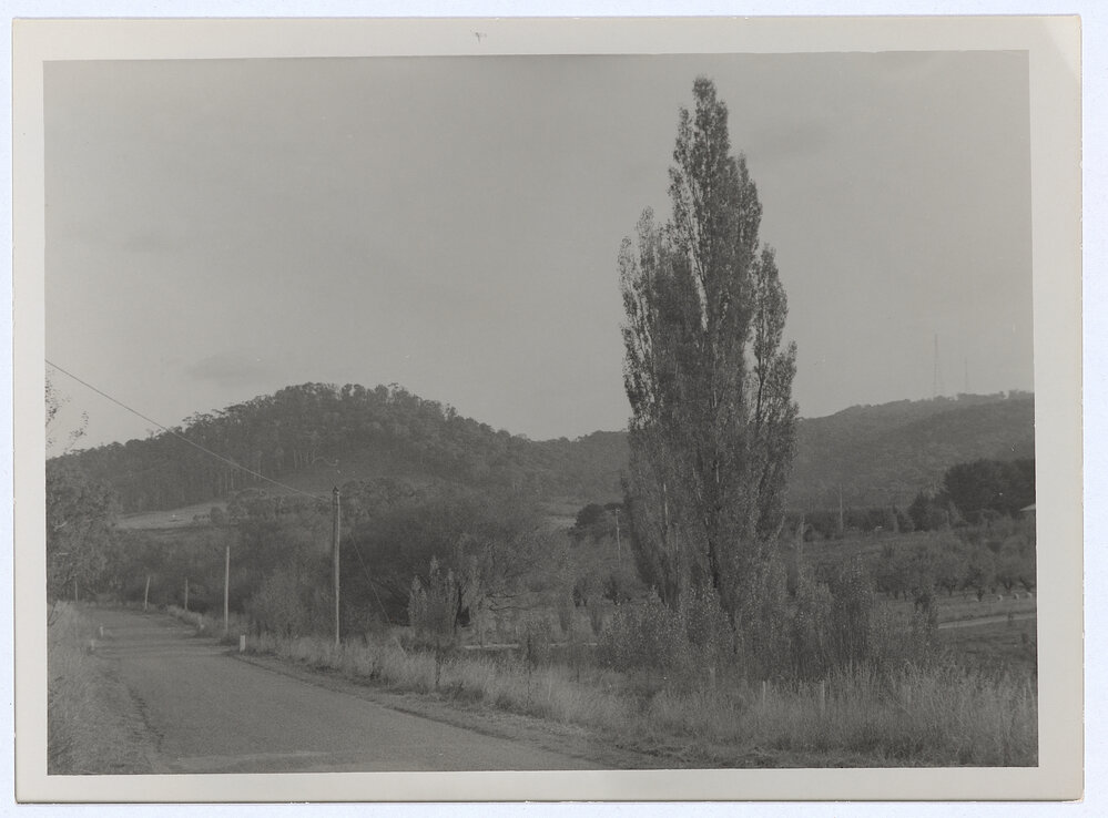 Mount Canobolas foothills