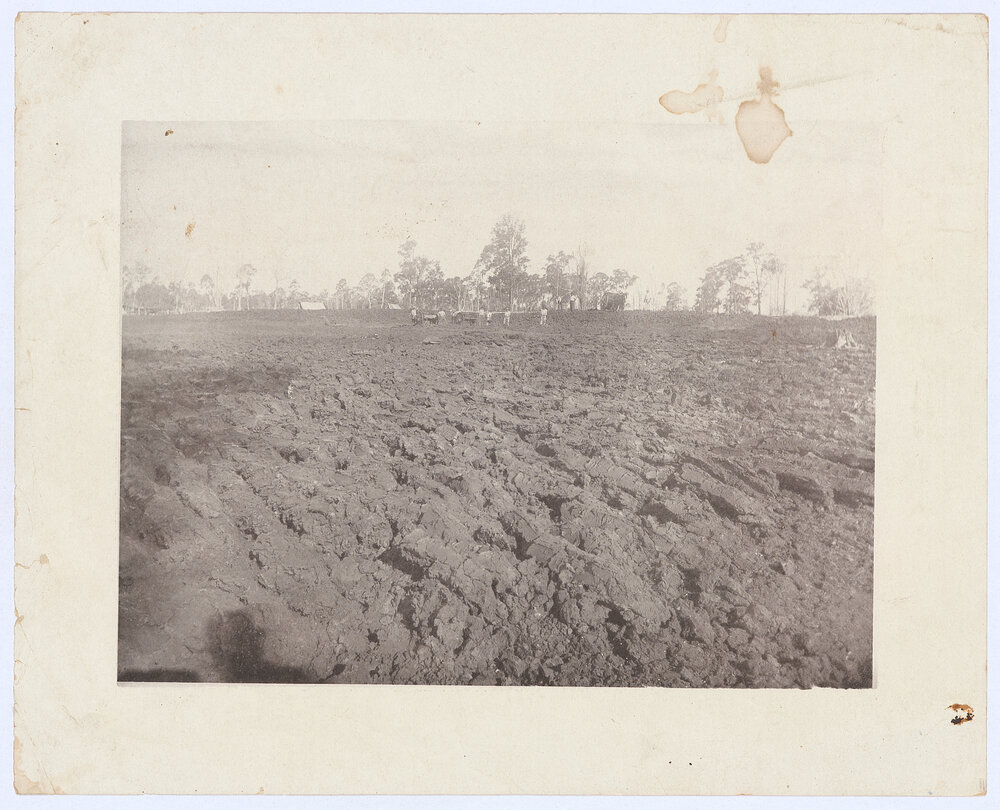 Ploughed field
