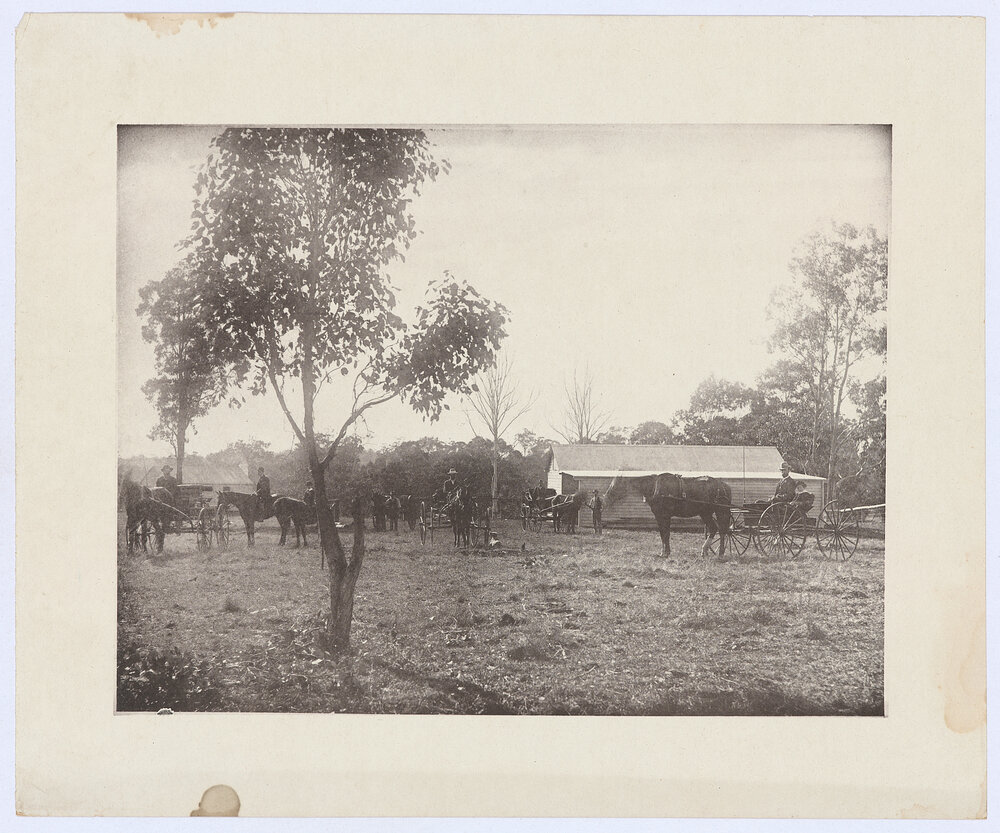 Rural scene