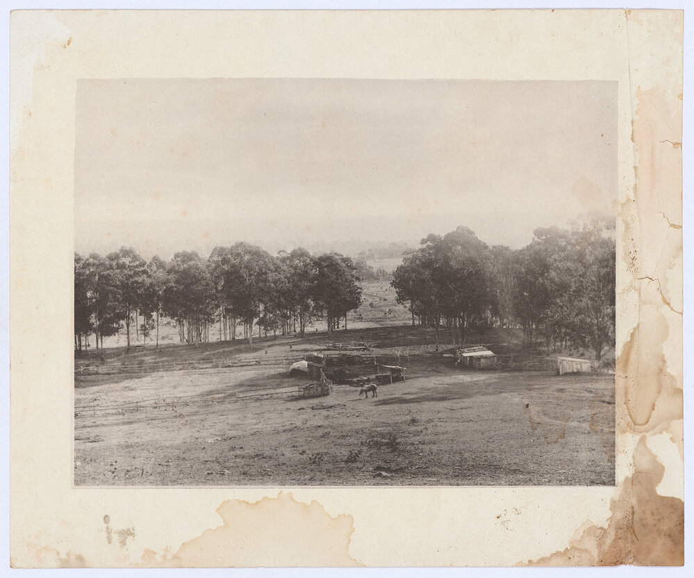 Rural scene