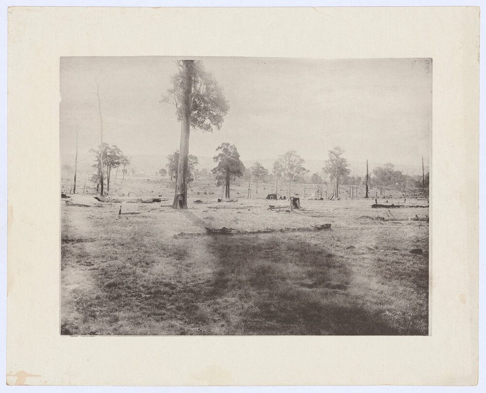 Rural scene