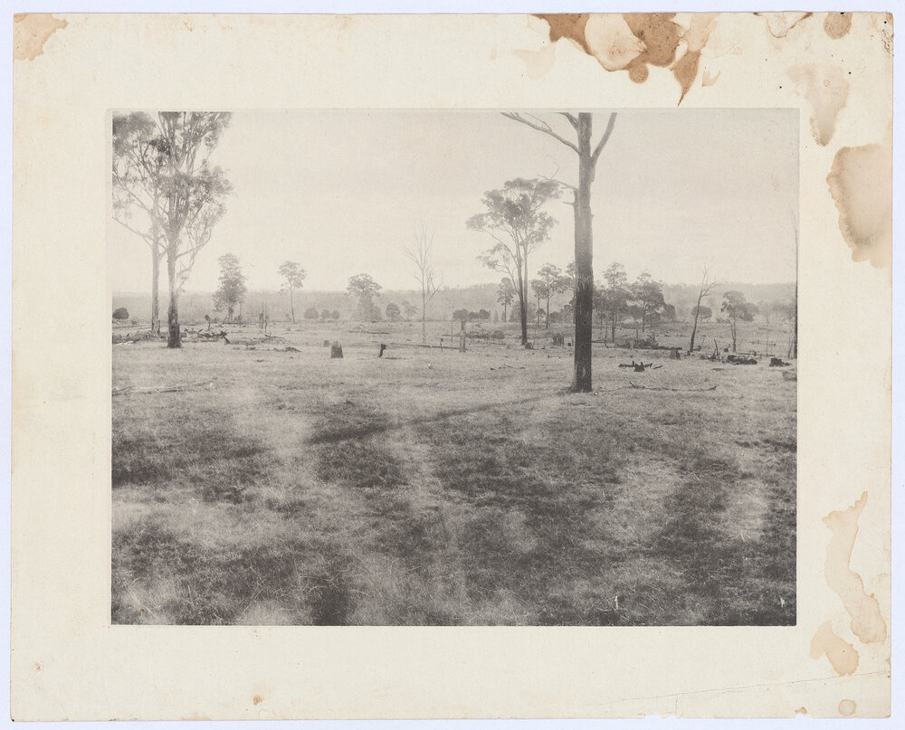Rural scene