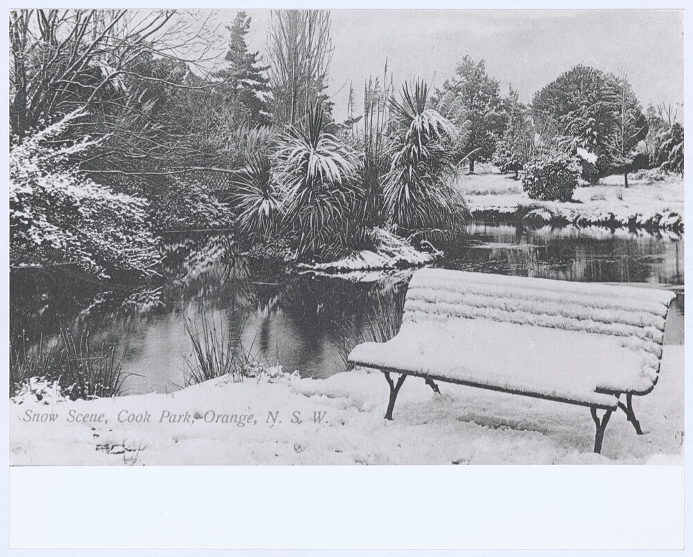 Snow scene, Cook Park, Orange