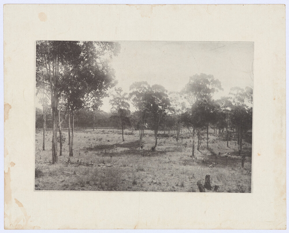 Rural scene