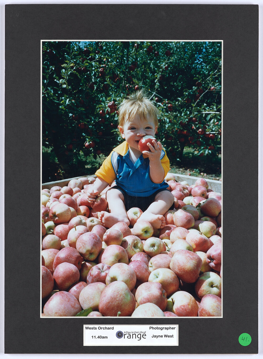 West's Orchard, 11.40am