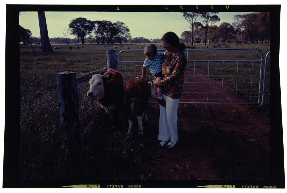 Woman and child with calves