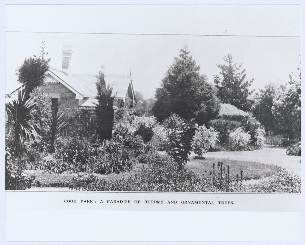 Cook Park: a paradise of blooms and ornamental trees