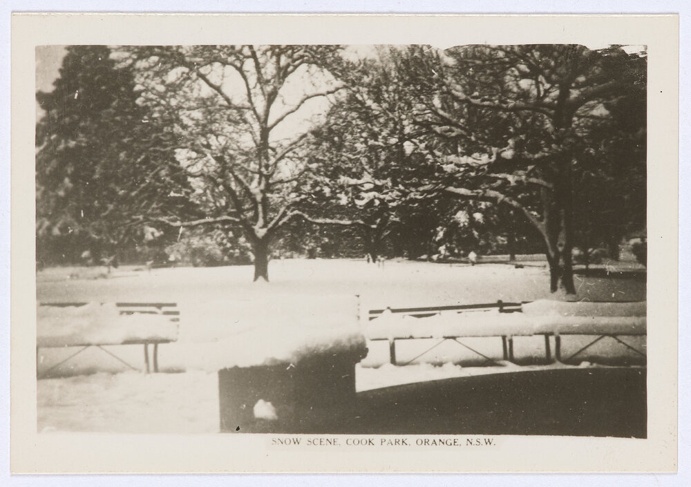 Snow scene, Cook Park, Orange