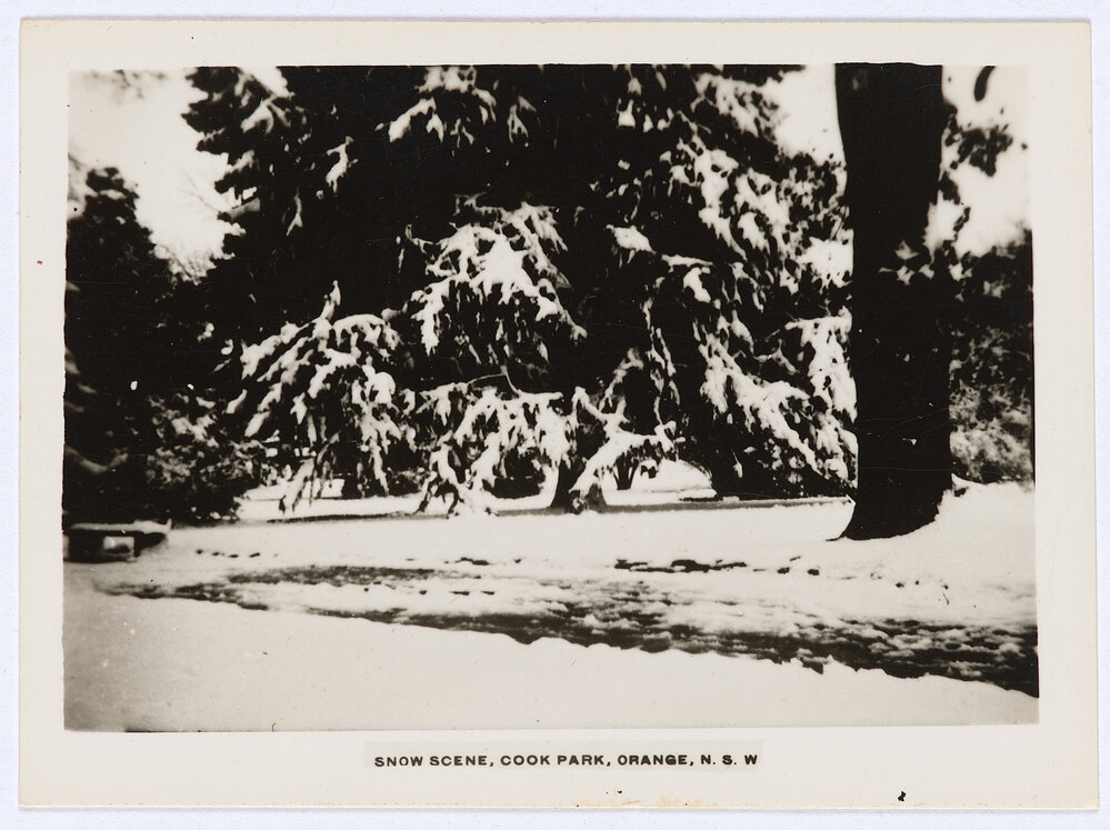 Snow Scene, Cook Park, Orange