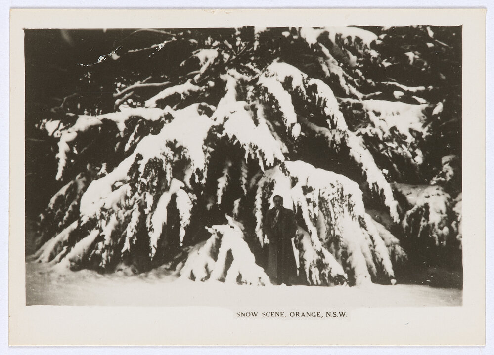 Snow Scene, Orange, NSW