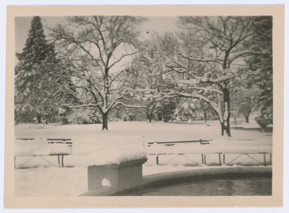 Snow Scene, Cook Park Fountain