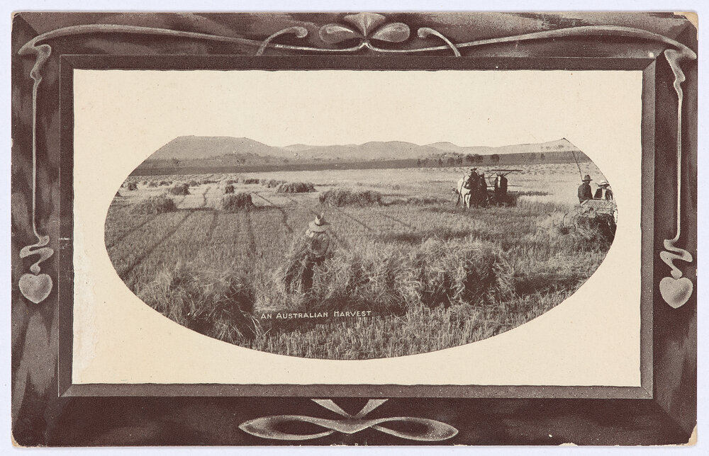 An Australian Harvest