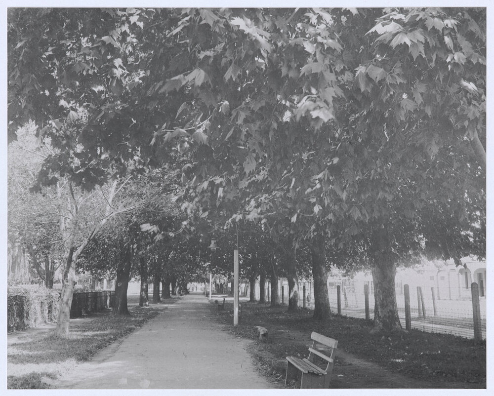 The Avenue, Robertson Park