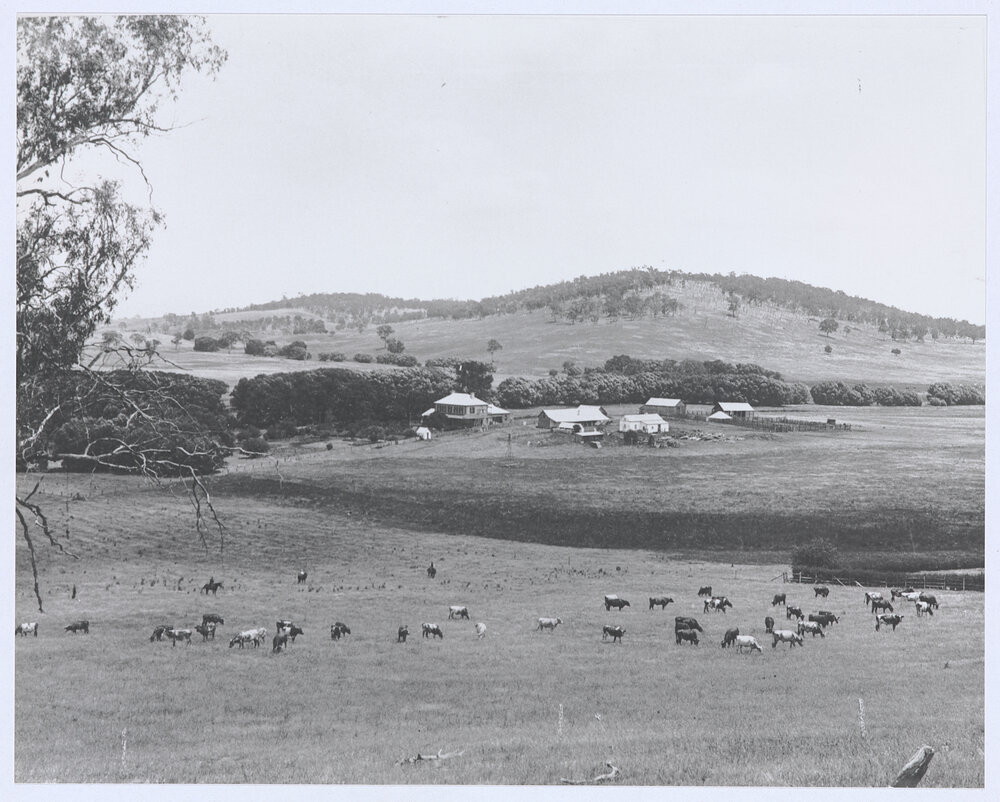 Wellwood near Orange