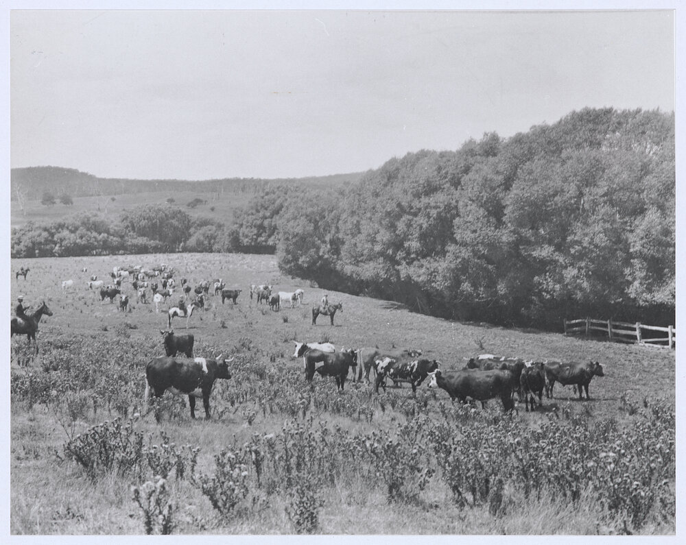 On the Rosedale flats