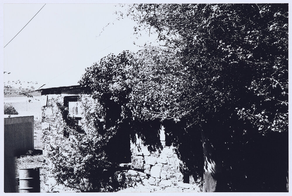 Clifton Grove Homestead, off Ophir Road, Orange