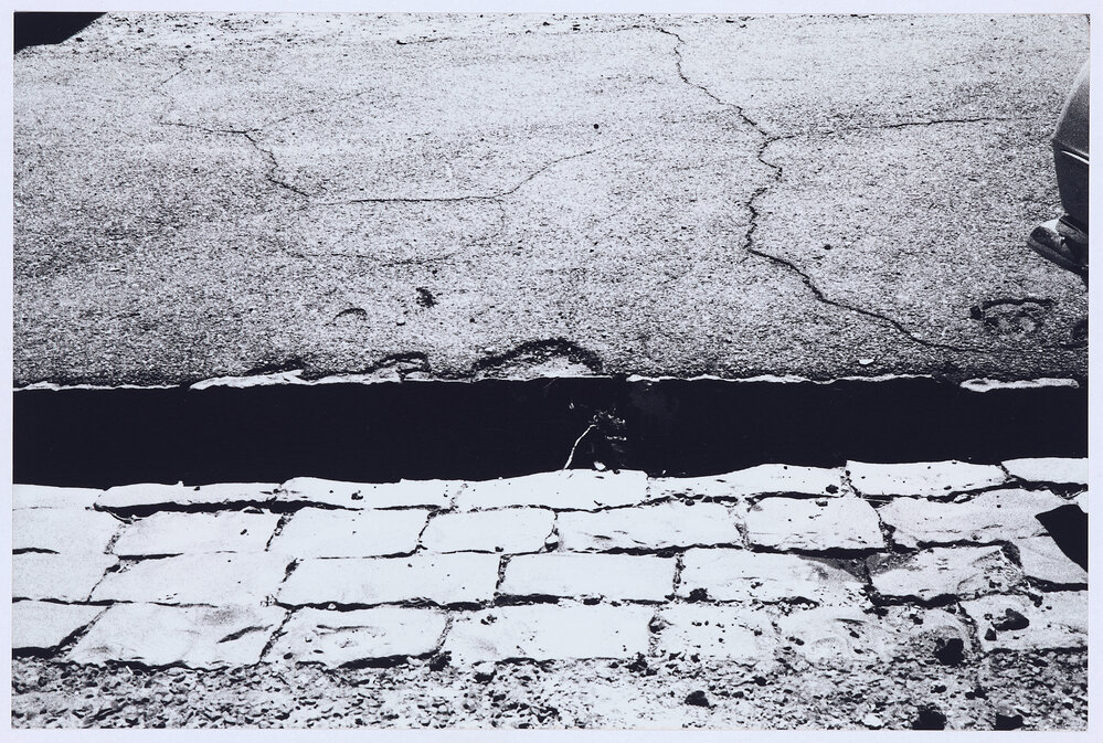 Bluestone paving stones