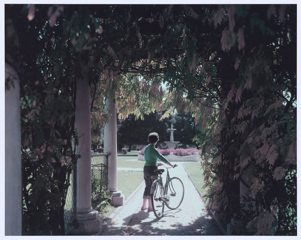A beautiful glimpse through an autumn tinted wisteria archway into Robertson Park