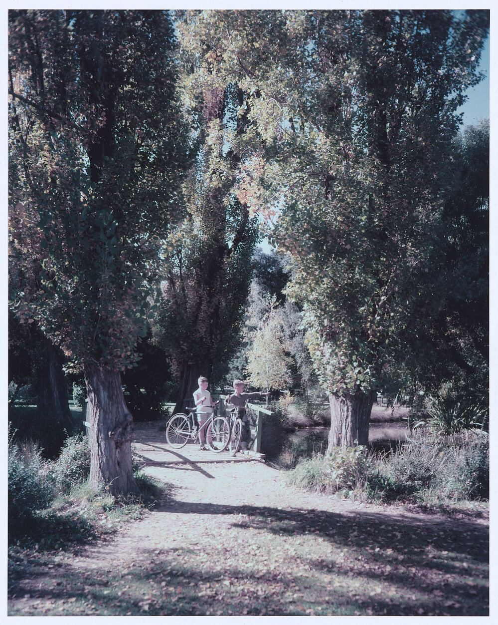 Autumn scene, Orange