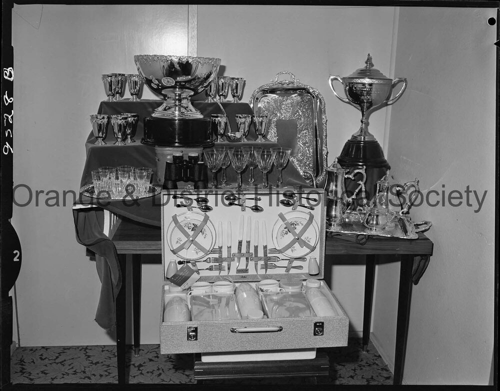 Orange Cup trophies at Angus &amp; Coote
