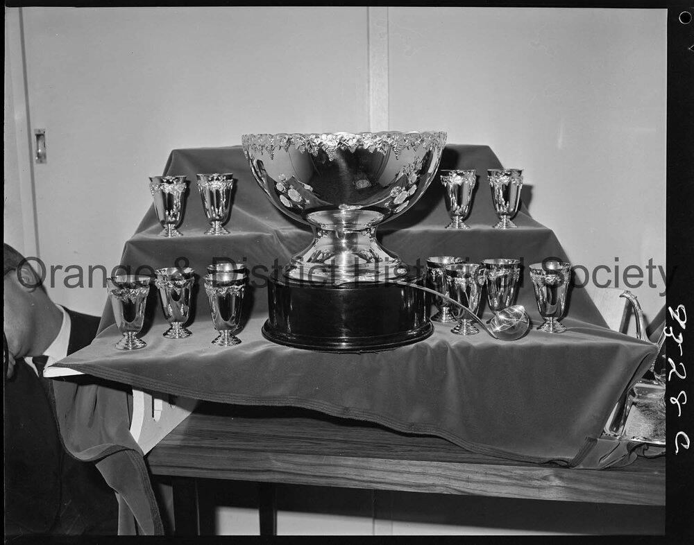 Orange Cup trophies at Angus &amp; Coote