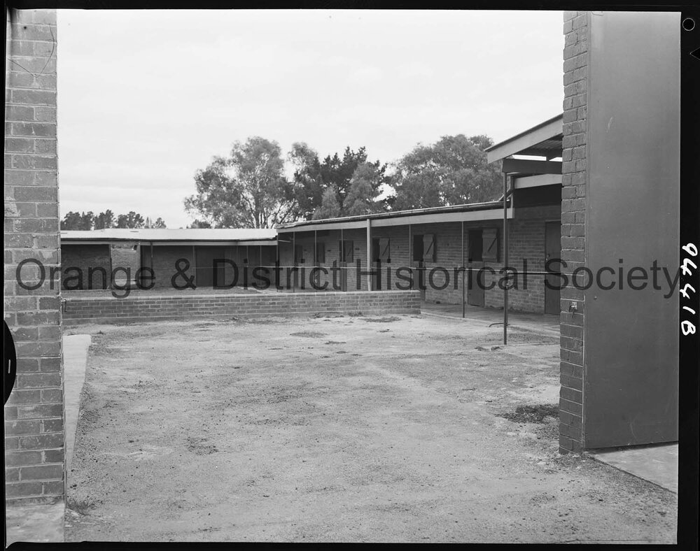 Max Wardle's horse stables