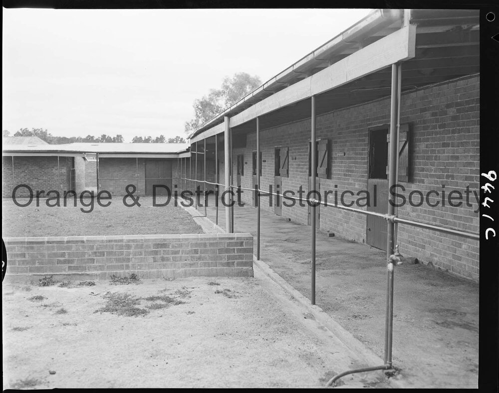 Max Wardle's horse stables