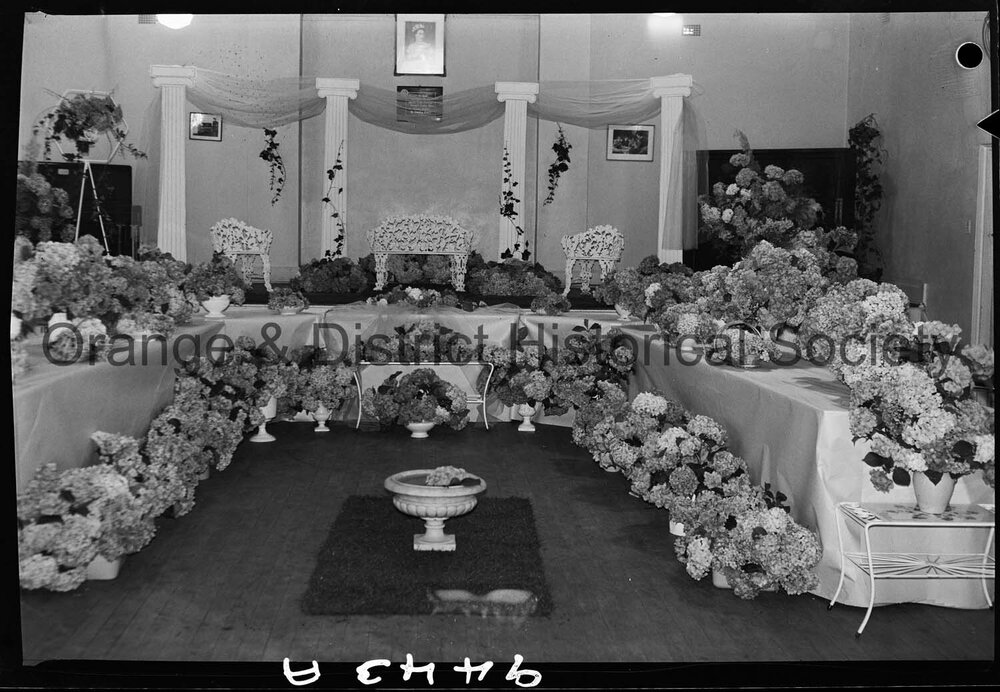 Hydrangea arbour in CWA Hall