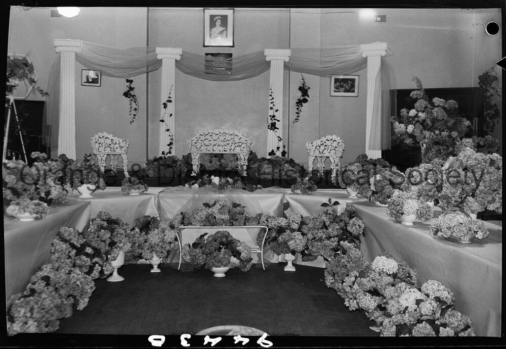 Hydrangea arbour in CWA Hall