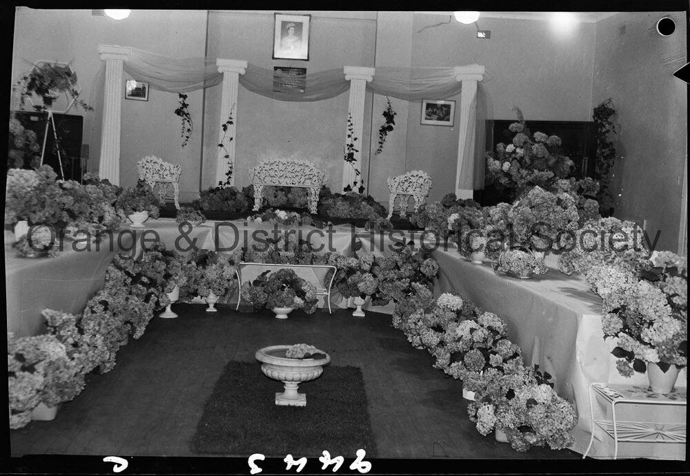 Hydrangea arbour in CWA Hall