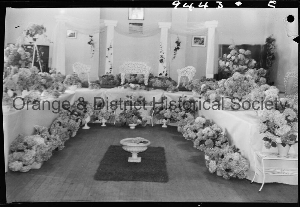 Hydrangea arbour in CWA Hall
