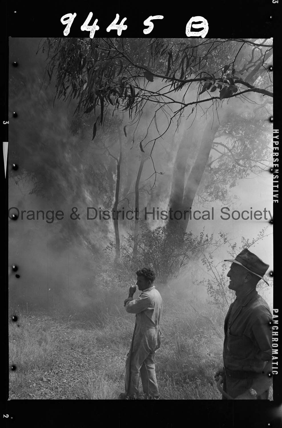 Bushfire west of Orange
