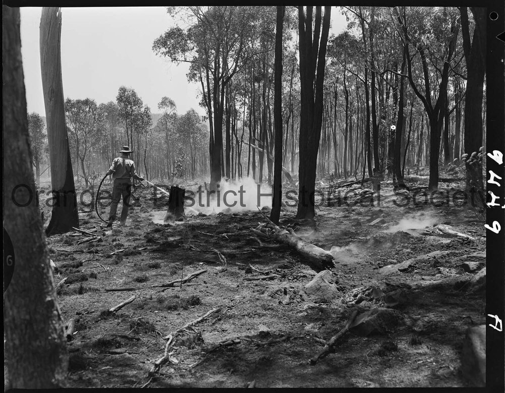 Bushfire at Bowan Park