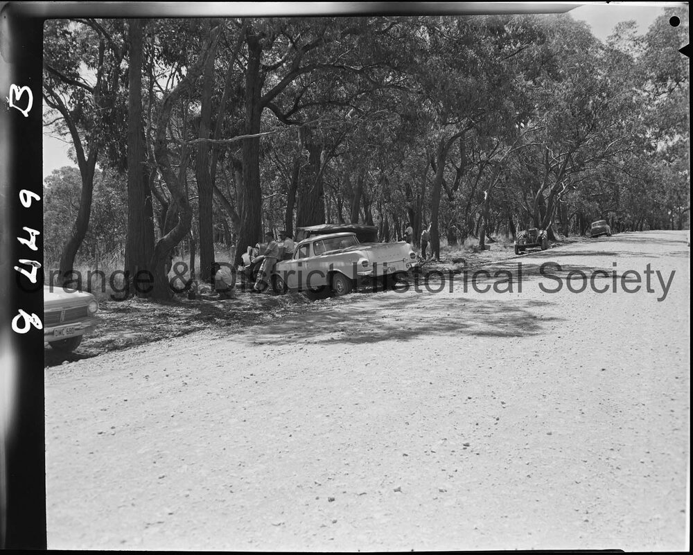 Bushfire at Bowan Park