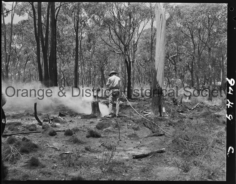 Bushfire at Bowan Park