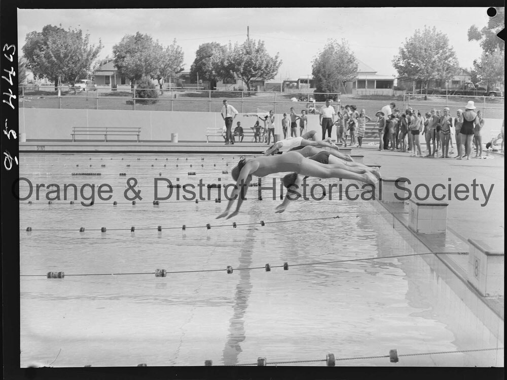 Primary Schools Amateur Athletic Association swimming carnival