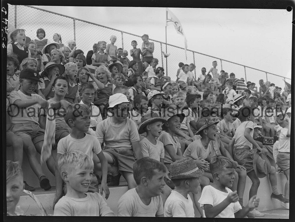 Primary Schools Amateur Athletic Association swimming carnival