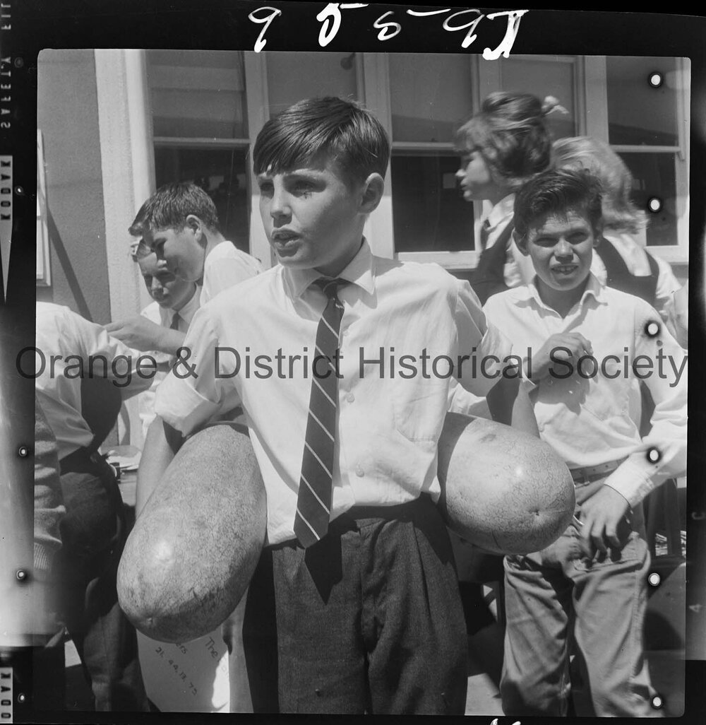 Orange High School Gala Day