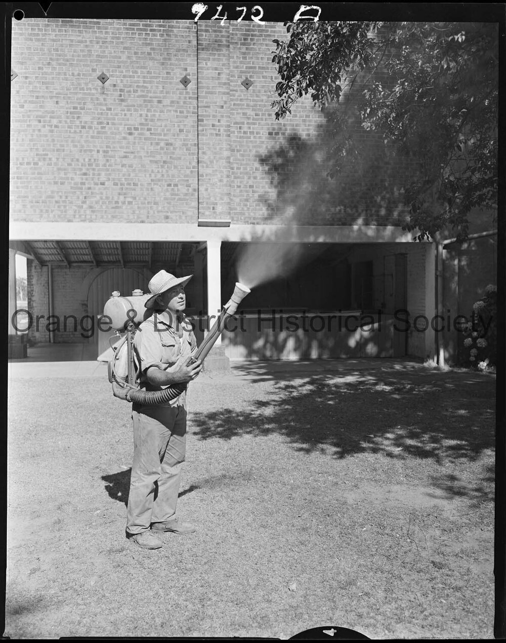 Geoff Fanning spraying trees at the racecourse