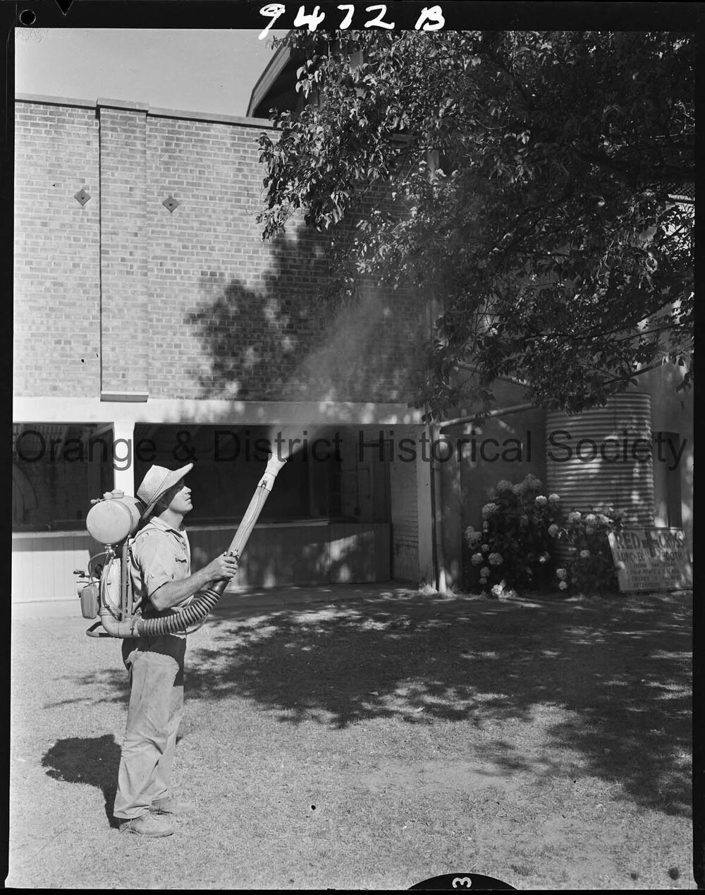 Geoff Fanning spraying trees at the racecourse