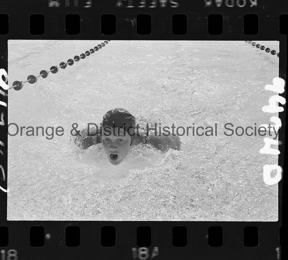 Orange swimming meet