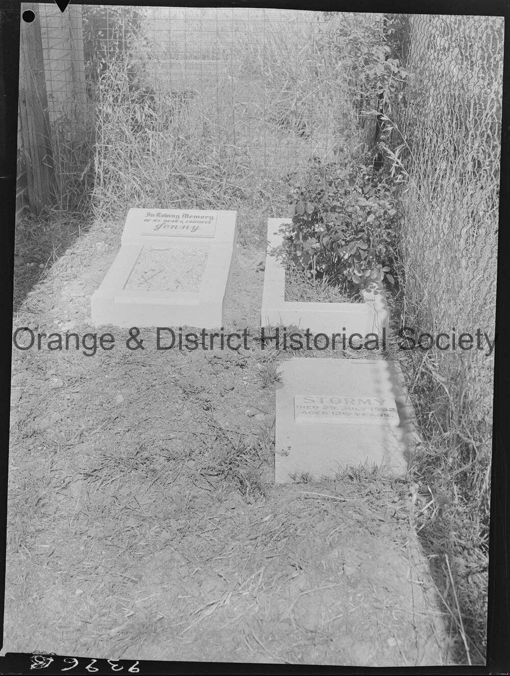 Dog cemetery