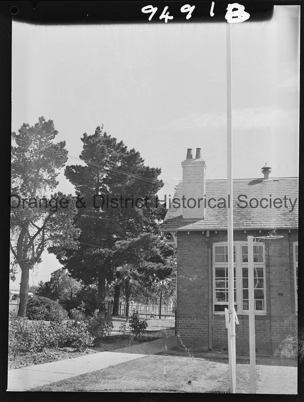 Flag in tree at Technical College