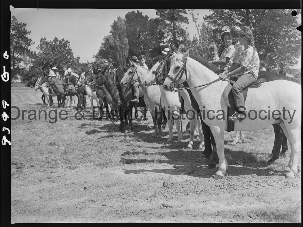Orange Pony Club camp